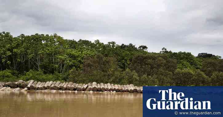 Peruvian loggers given 28 years in jail for murder of four Indigenous leaders