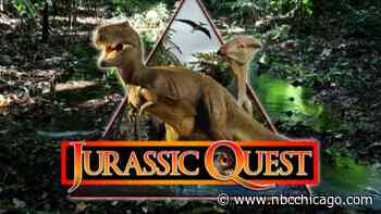 Jurassic Quest Bringing ‘Largest and and Most Realistic Dinosaur Exhibit' to Chicago's Navy Pier