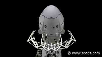 SpaceX rolls out rocket for NASA's Crew-6 astronaut launch (photos)