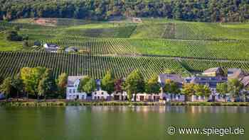 Piesport – Aufstieg der Moselregion: Drei Sterne statt Schnitzel