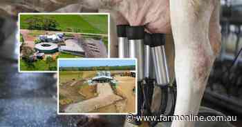 With milk in hot demand, two dairy farms test the market