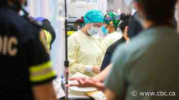 New IT platform designed to help manage patient flows, wait times at Winnipeg hospitals