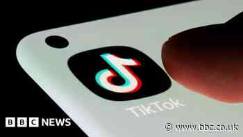 European Commission bans TikTok on staff devices