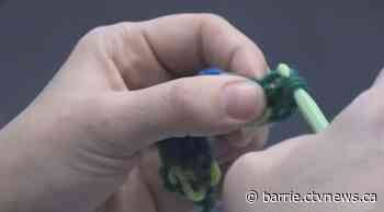 Program at Innisfil library teaching new skills that help the most vulnerable