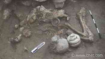 Scientists Unearth Evidence of Brain Surgery on 3,000-Year-Old Skull     - CNET