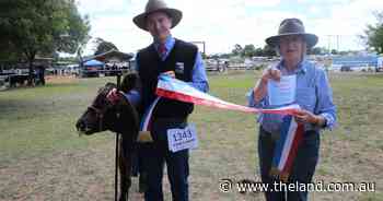 Canberra Royal 2023: Miniature Galloway results