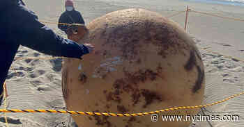 Sphere on Japanese Beach Was Just a Buoy, Experts Say