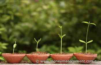 Micro-ASFLs claim market share from largest players