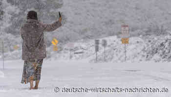Millionen ohne Strom: Teile der USA versinken im Schnee