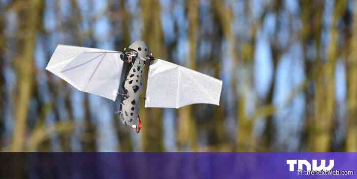 Are bioinspired drones the next big thing in unmanned flight?
