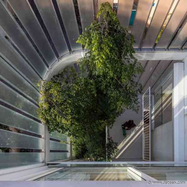 Trees grow through glazed facade of Tel Aviv homes by Paritzki & Liani