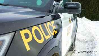 Premiers' call for bail reform will kill more people than it saves