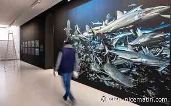 Une nouvelle expo pour plonger en eaux profondes avec Laurent Ballesta