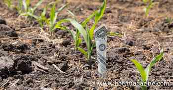 USDA Chief Economist reassures farm profits amid lower price forecasts