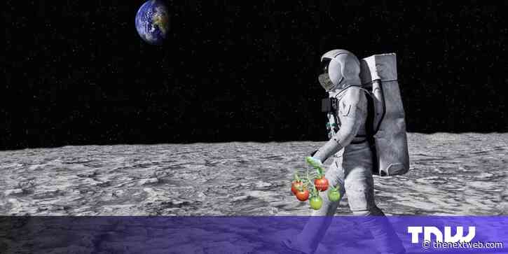 European Space Agency unveils new plan for growing plants on the Moon