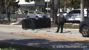 Driver Arrested After Stealing Woman's Car, Killing Her in Hit-and-Run Crash in Miami