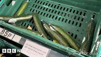 Fruit and vegetable shortage could last until May, say growers