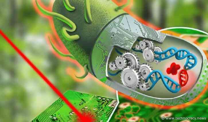 Biodigital Convergence: The Pandemic Started The Genetic Transformation Of Humanity