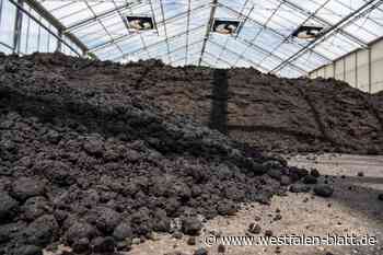 Espelkamp: Anlage wird zum Zankapfel