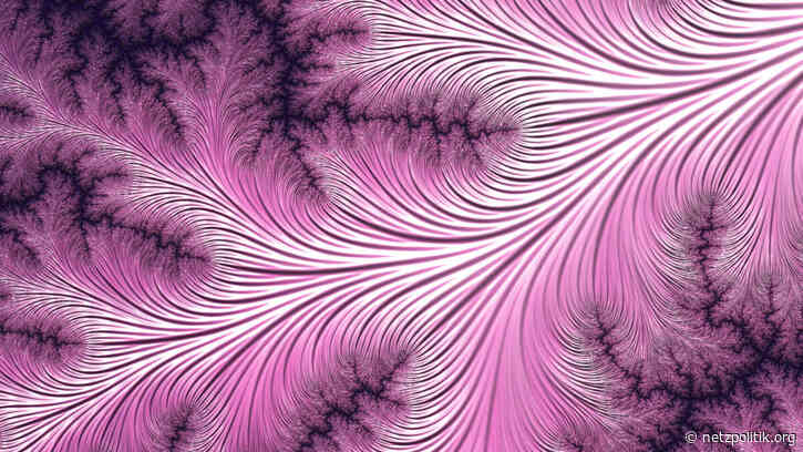 KW 8: Die Woche, in der Ungarn uns fertig macht