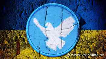 Ukraine-Krieg: Chinas Friedensplan in der Analyse