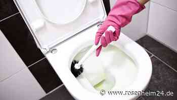 Hausmittel gegen Kalkablagerungen – fünf Tipps für ein reines WC