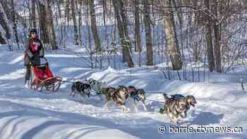 Celebrating winter at Seguin. Ont.'s annual Sled Dog Mail Run