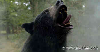 In the Wild Tale of ‘Cocaine Bear,’ an Apex Predator Is the True Star