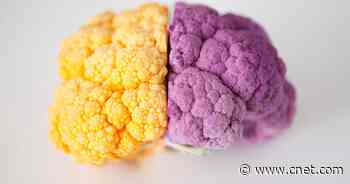 12 Best Foods for a Healthy Brain and Better Memory     - CNET