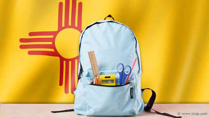 Are there too many charter schools in New Mexico?