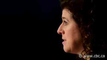 Auditor general to probe federal government contracts with McKinsey