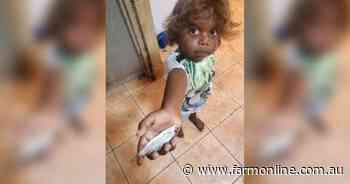 Cloudy with a chance of perch: Fish rain from the sky in outback Australia