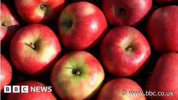Britain's apple farmers issue food security warning