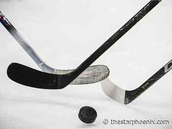 Blades drop OT decision to Prince Albert