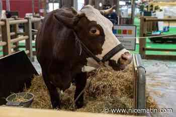 Emmanuel Macron commence une visite marathon de plus de 12 heures au Salon de l'Agriculture