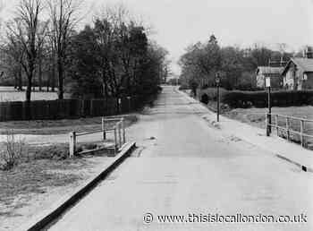 Glimpse of how Whitehall Road in Chingford looked a century ago