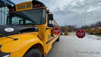 Ontario boards want Ford government to end ban on closing, merging schools