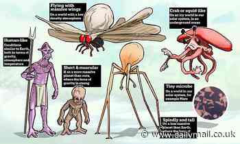 What could aliens look like? Forget little green men - life on distant planets may resemble HUMANS