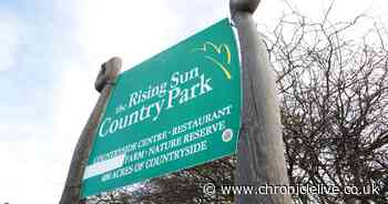 New disabled and family-friendly toilets set for Rising Sun Country Park and Wallsend Parks