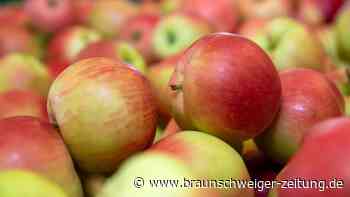 Nach Gemüse könnte auch Obst in Großbritannien knapp werden