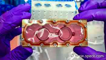 SpaceX Crew-6 astronauts will answer 'burning questions' with space station science