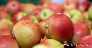 Nach Gemüse könnte auch Obst in Großbritannien knapp werden