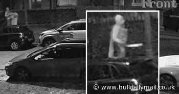 Moment man roams Hull Avenues with 'machete' in early hours of the morning