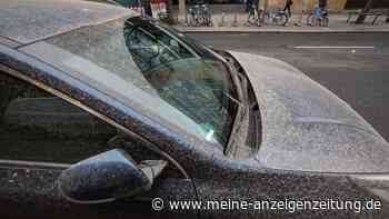 Saharastaub in Deutschland: „Blutregen“ zeitnah vom Auto waschen