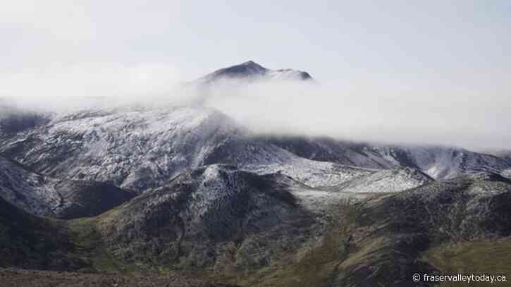 Climate change could leave Yukon plants with nowhere to go: study