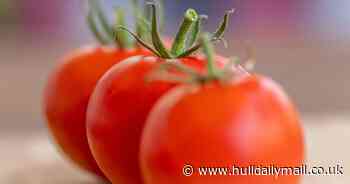 National Farmers’ Union warns fruit and vegetable shortages could be ‘tip of the iceberg’