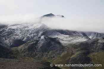Climate change could leave Yukon plants with nowhere to go: study