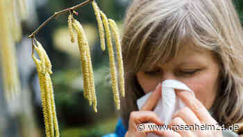Mittel gegen Heuschnupfen: Stiftung Warentest gibt wertvolle Tipps