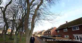Gateshead dad says tree outside home is 'accident waiting to happen' as he calls on council to act