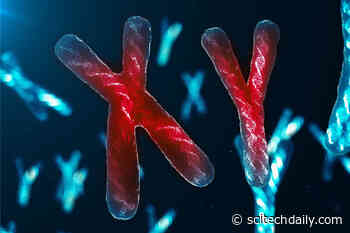 Individuals With Extra X or Y Chromosome at Higher Risk of Life-Threatening Blood Clots